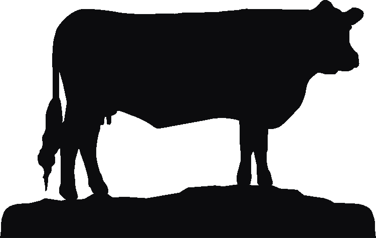 Sussex Cow Potties