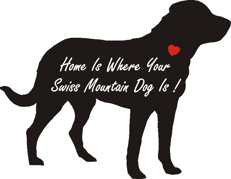 Swiss Mountain Home Is...