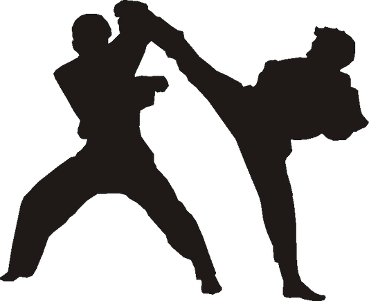 Tae Kwondu Silhouettes