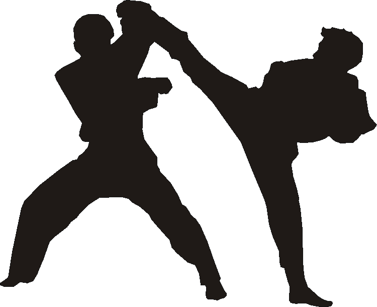 Tae Kwondu Tall Tumblers