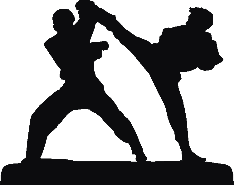 Tae Kwondu Rosette Runner