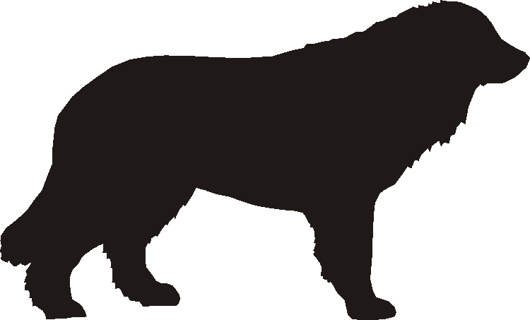 Tatra Silhouettes