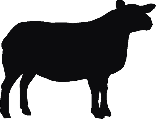 Texel Sheep Gate Plates