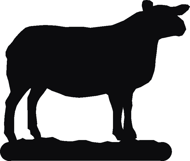 Texel Sheep Post Top