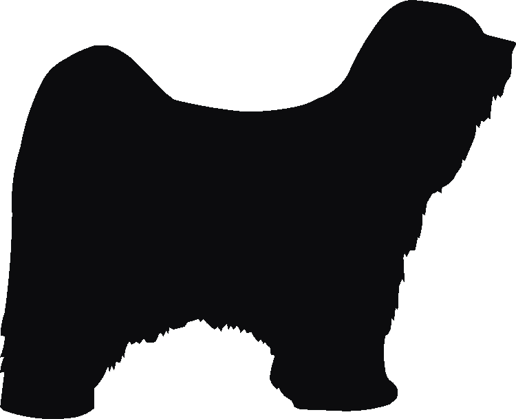Tibetan Terrier Yorkshire Sign