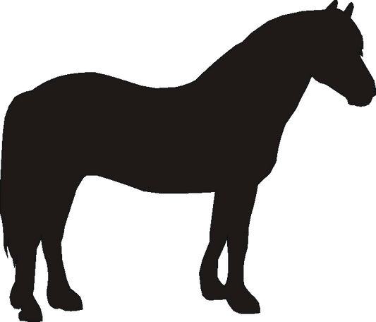 Welsh Section D Wind Chimes