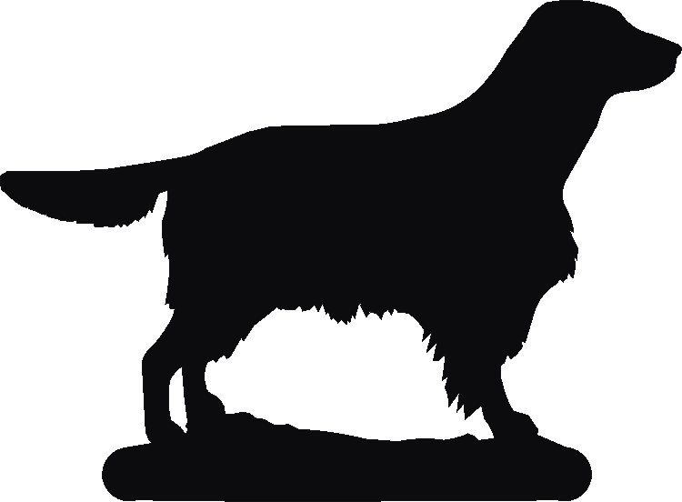 Welsh Springer Phone Stand