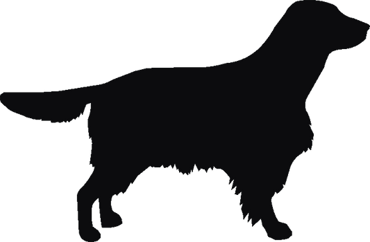 Welsh Springer Silhouettes