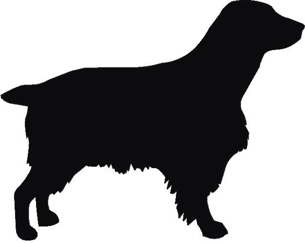 Welsh Springer Docked Tall Tumblers