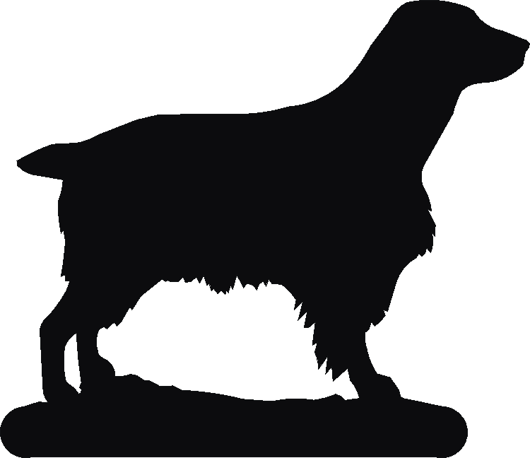 Welsh Springer Docked Phone Stand