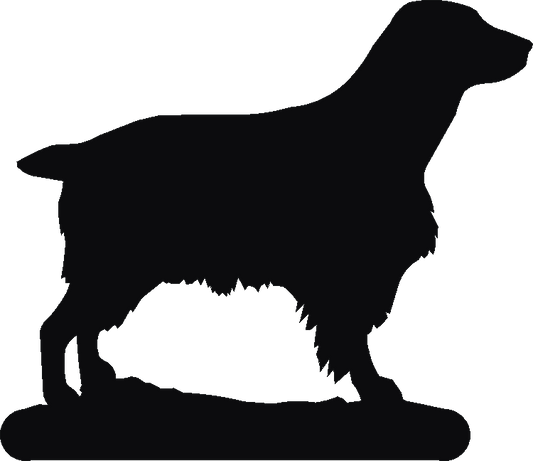 Welsh Springer Docked Hookits