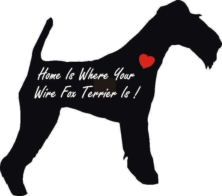 Wire Fox Home Is...