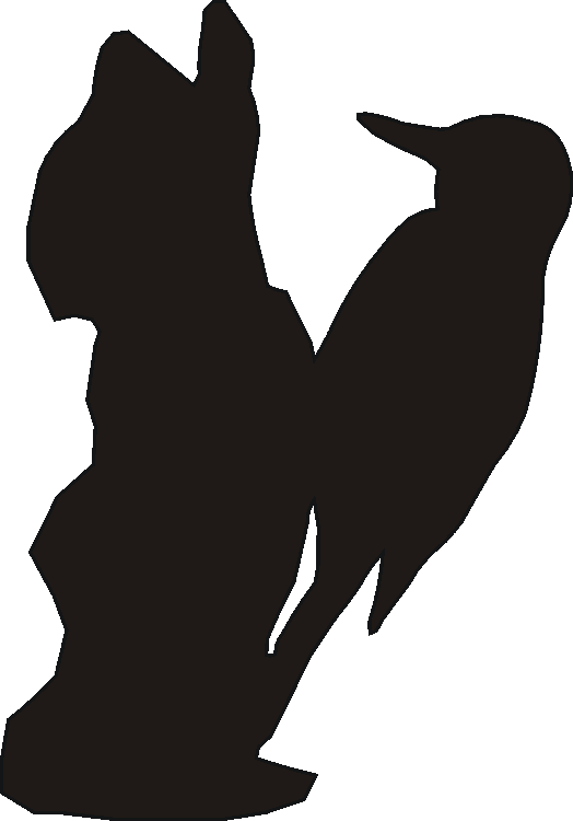 Woodpecker Silhouettes