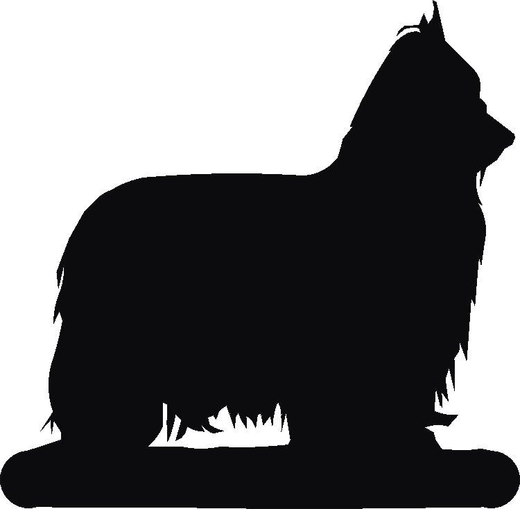 Yorkshire Terrier Letter Racks