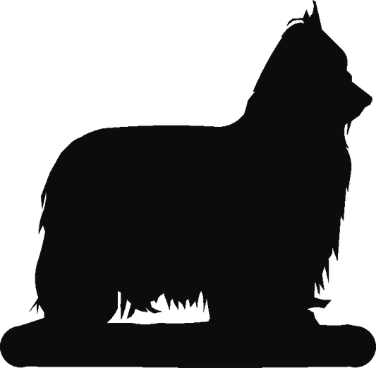 Yorkshire Terrier Hookits