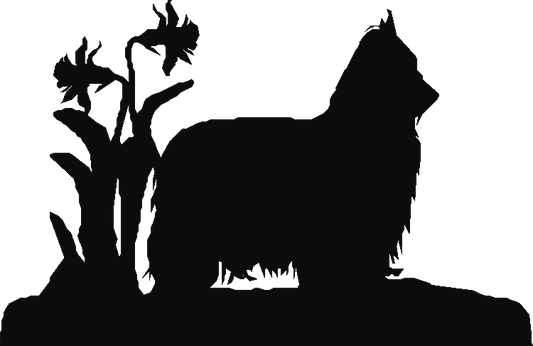 Yorkshire Terrier Key Rack