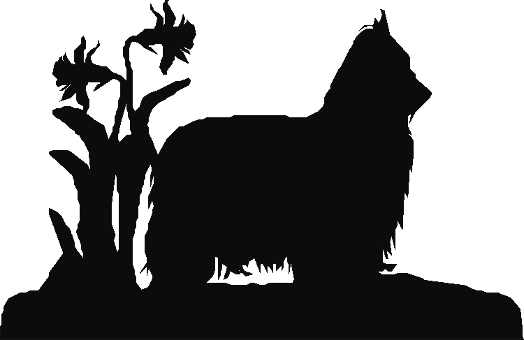 Yorkshire Terrier Devon Sign