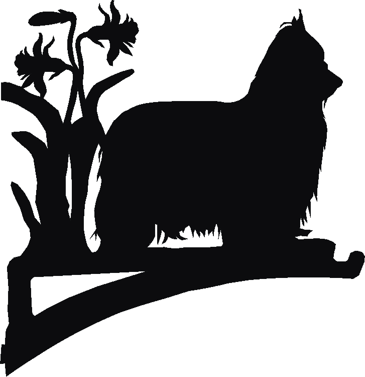 Yorkshire Terrier Hanging Brackets