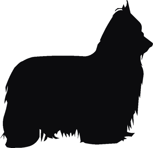 Yorkshire Terrier Curtain Hook Backs