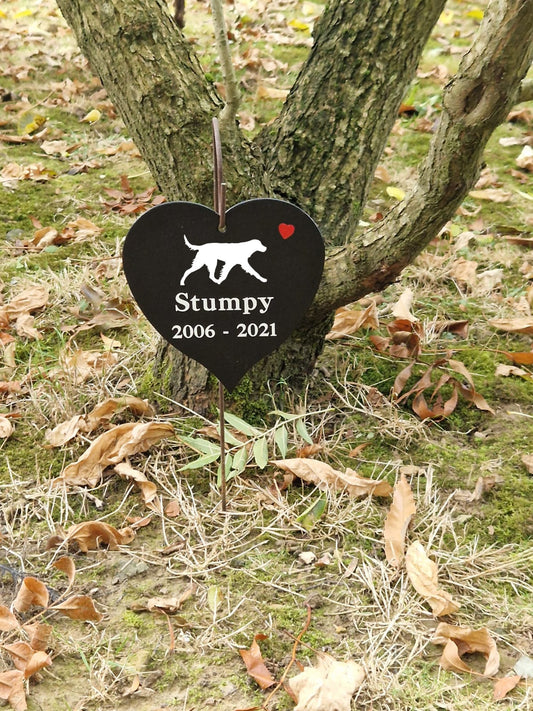 German Long Coat Pointer Memory