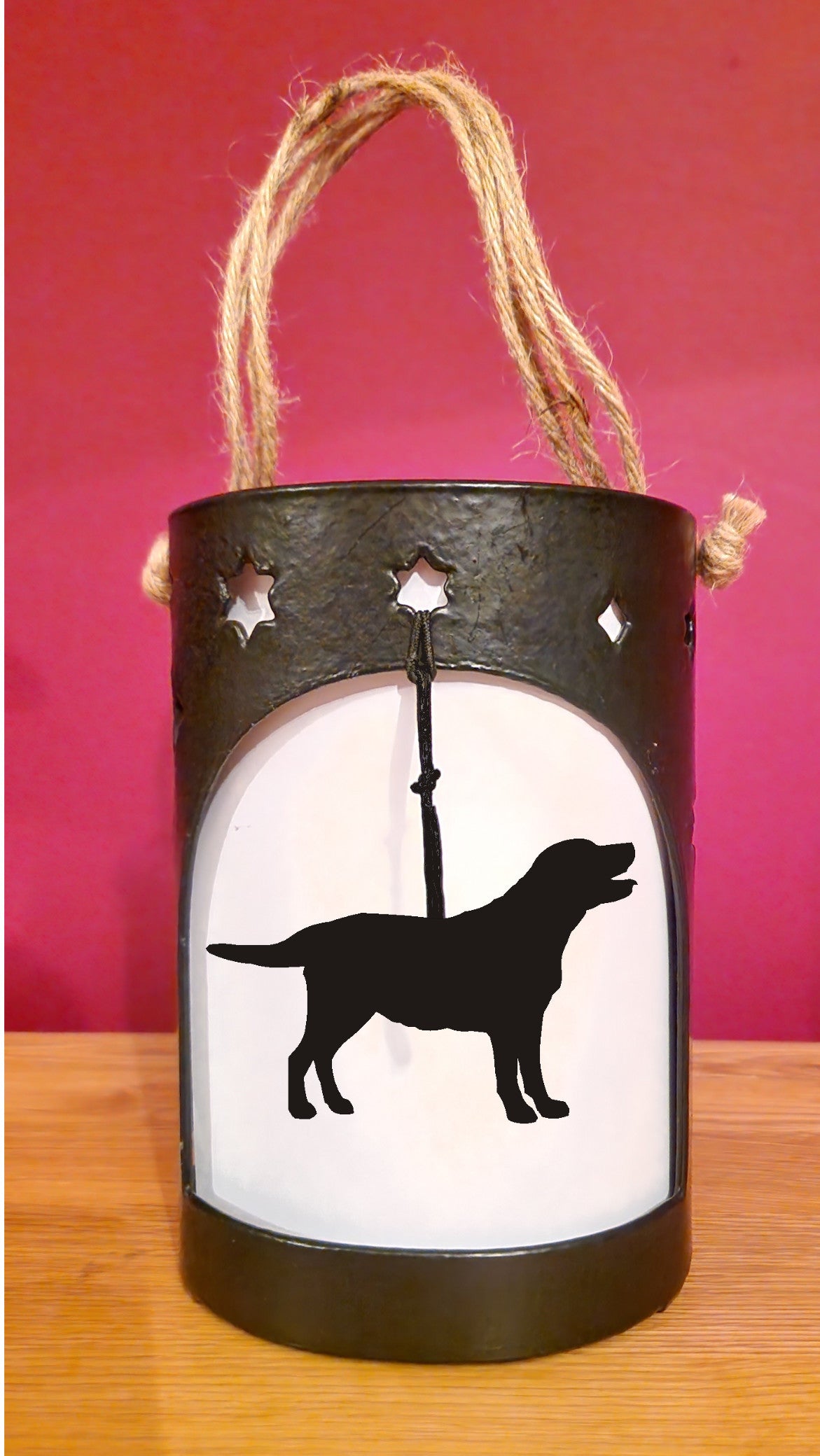 Labrador Starlight | The Profiles Range