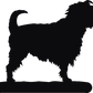 Affenpinscher Towel Rail