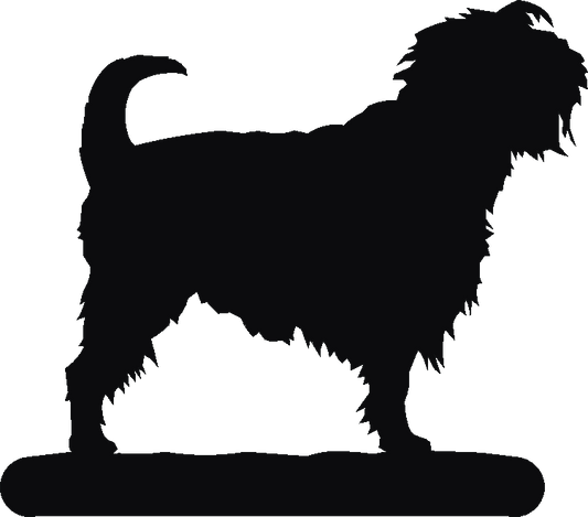 Affenpinscher Thermometers