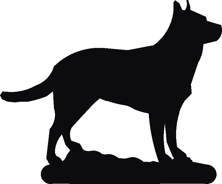 Australian Cattle Dog Post Top