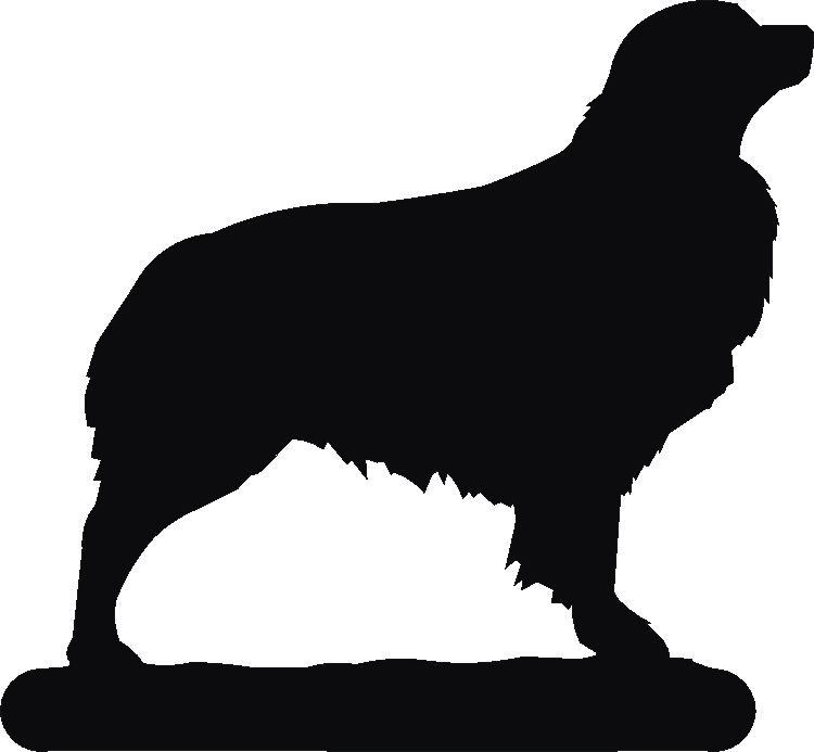 Australian Shepherd Post Top