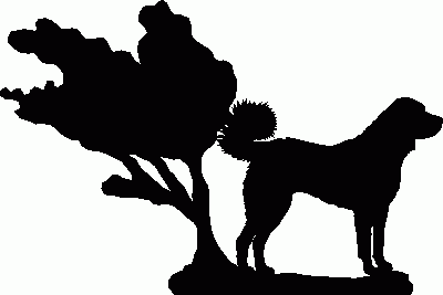 Kangal Hanging Signs