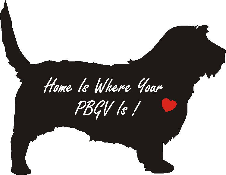 PBGV Home Is...