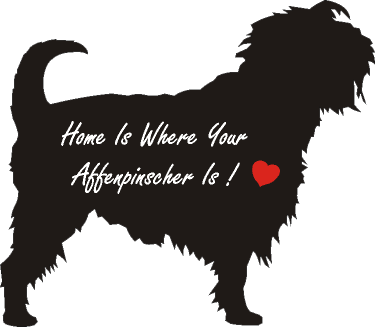 Affenpinscher Home Is...