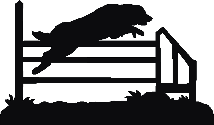 Agility Jump Silhouettes