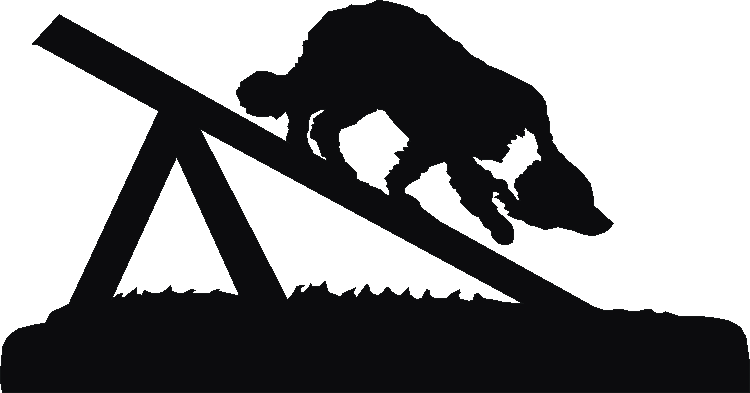 Agility Ramp Silhouettes