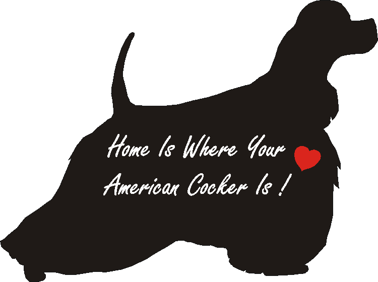 American Cocker Home Is...