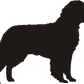 American Water Spaniel Loo Roll Holder