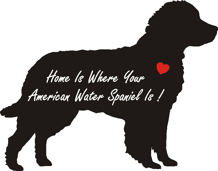 American Water Spaniel Home Is...