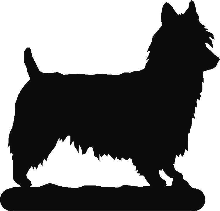 Australian Terrier Hookits