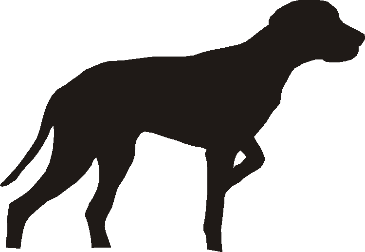 Auvergne Pointer Tall Tumblers