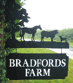 Brazilian Terrier Hanging Signs