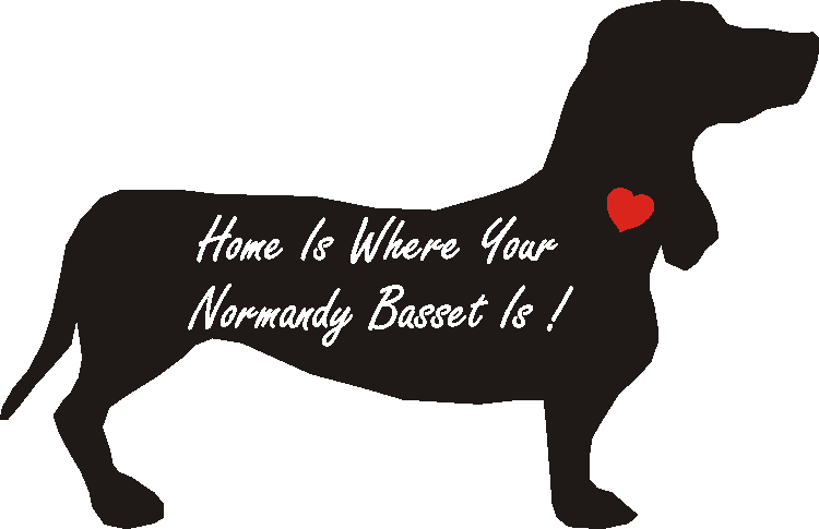 Basset Normandy Home Is...