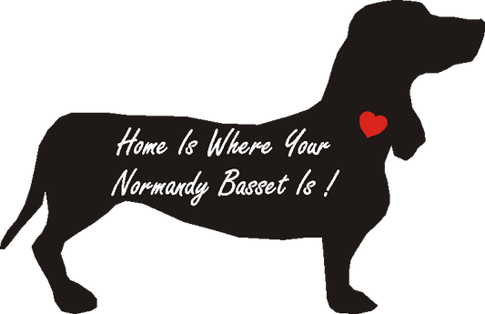 Basset Normandy Home Is...