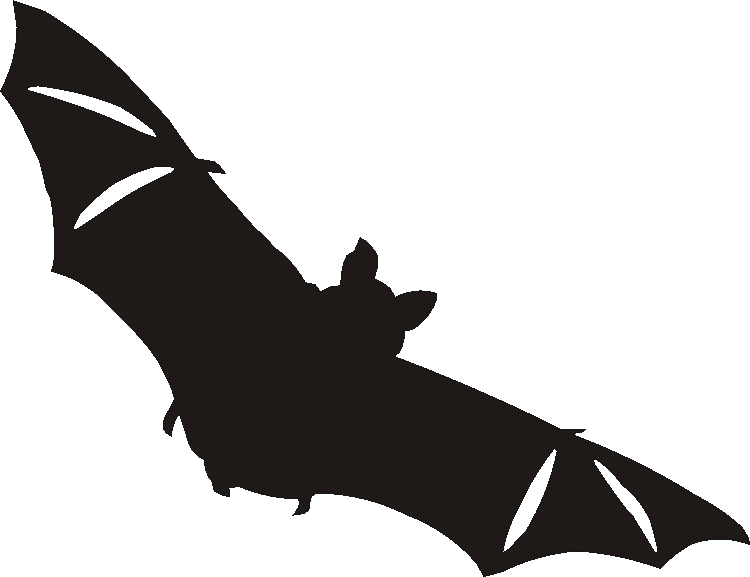 Bat Tall Tumblers