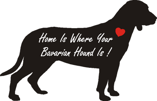 Bavarian Hound Home Is...
