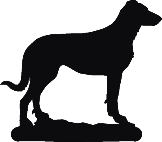 Beauceron Thermometers