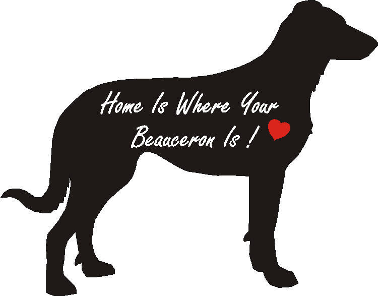 Beauceron Home Is...