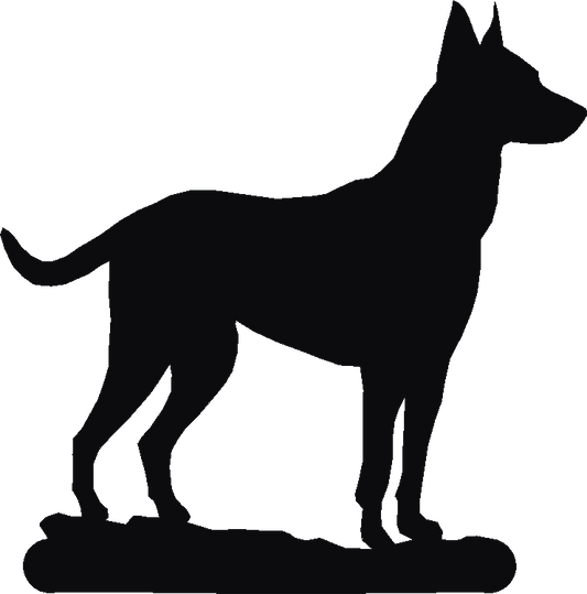 Belgian Malinois Herbies