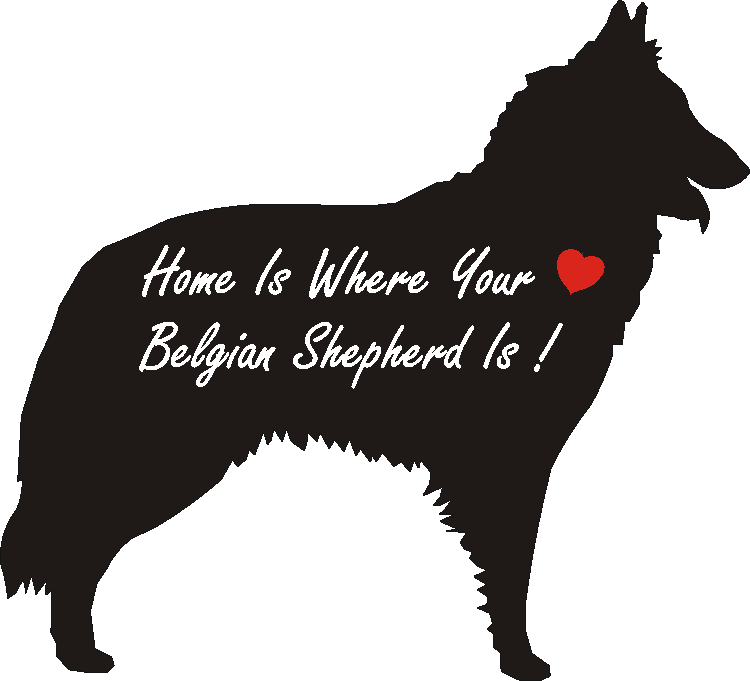 Belgian Tervuren Home Is...