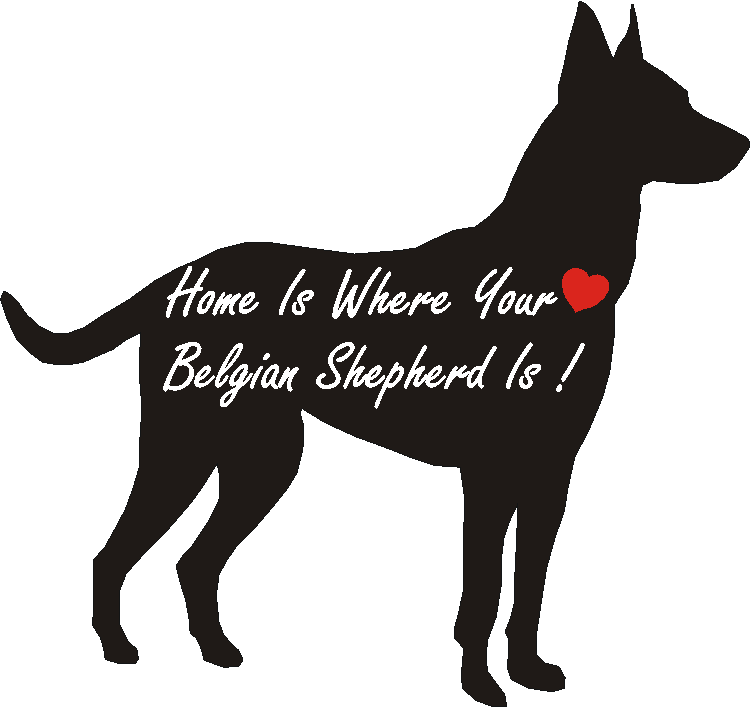 Belgian Malinois Home Is...