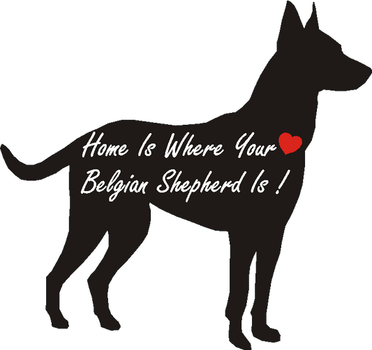 Belgian Malinois Home Is...